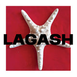 Alastair Galbraith 'Lagash' LP/DIGITAL