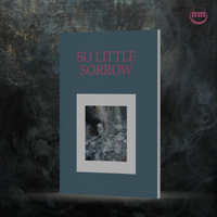 Simon J Karis 'So Little Sorrow' CD/BOOK